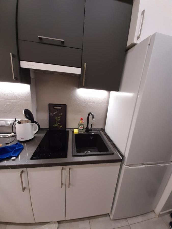 Apartment сучасний стиль і комфорт в центрі львова Lviv